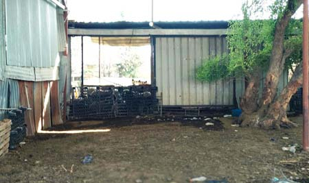 التحقيق مع 5 أشخاص بعد ضبط مزرعة خراف تعمل بدون تصاريح في اللد